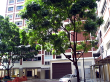 Blk 581 Pasir Ris Street 53 (Pasir Ris), HDB Executive #123122